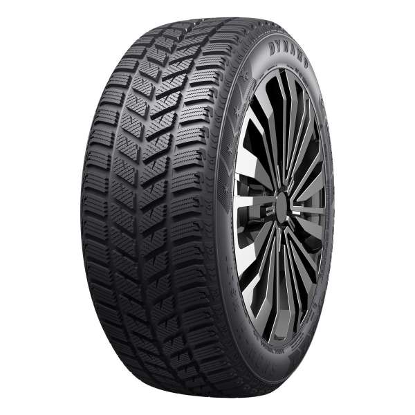 Friction tires Dynamo Snow-H MSL01