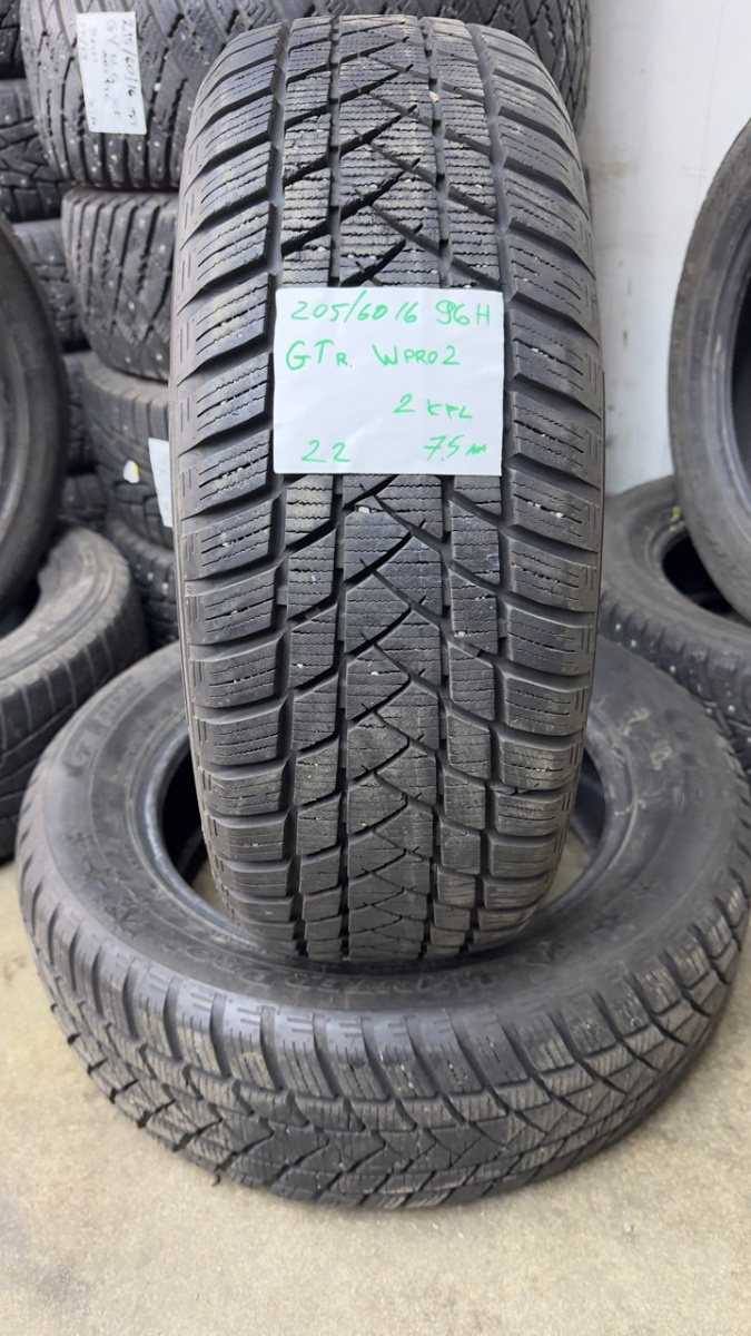 lamellrehv GT Radial CHAMPIRO WINTERPRO 2